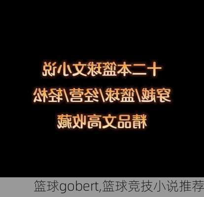 篮球gobert,篮球竞技小说推荐