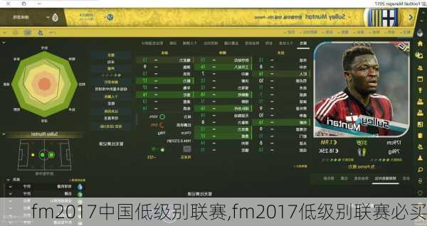 fm2017中国低级别联赛,fm2017低级别联赛必买