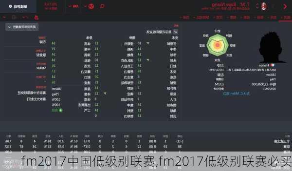 fm2017中国低级别联赛,fm2017低级别联赛必买