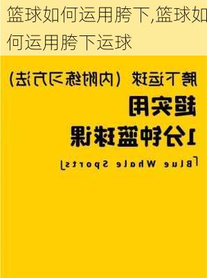 篮球如何运用胯下,篮球如何运用胯下运球