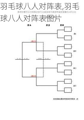 羽毛球八人对阵表,羽毛球八人对阵表图片